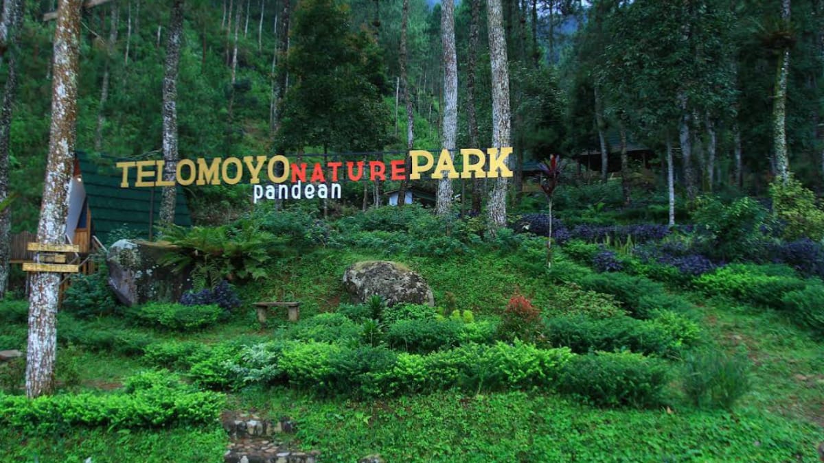 Telomoyo Nature Park: Pesona Alam dan Petualangan di Lereng Gunung